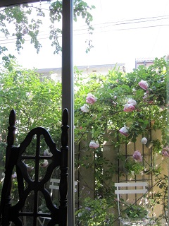c0152002_20442909.jpg