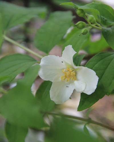 a0123003_6441489.jpg
