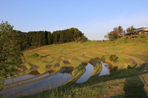 もうひとつの棚田の朝_c0297004_21271365.jpg