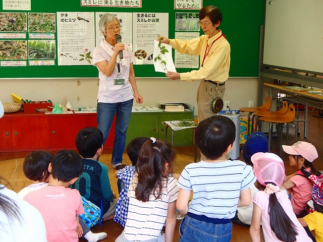 すみれば探検隊「すみればの野草さがし」_b0049307_1504261.jpg