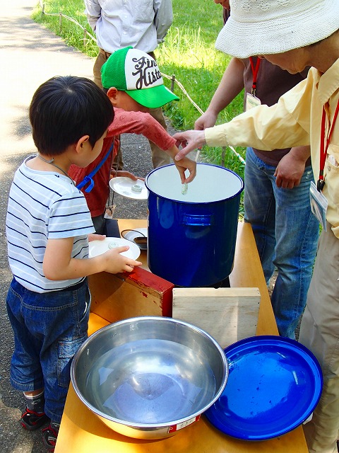 すみれば探検隊「すみればの野草さがし」_b0049307_1535892.jpg