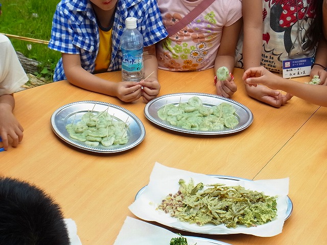 すみれば探検隊「すみればの野草さがし」_b0049307_1574969.jpg