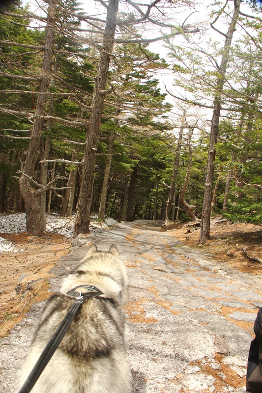 いざ富士山へ!!_b0207615_21145682.jpg