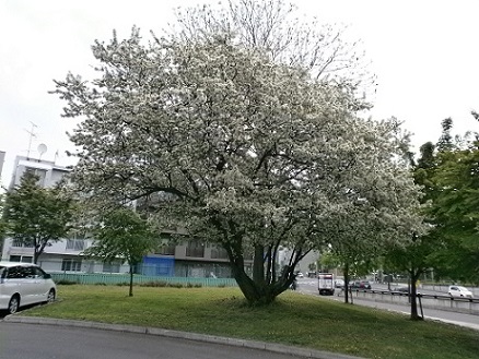 b0144125_215429.jpg