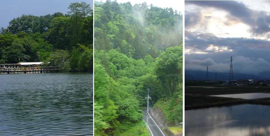 緑の五月_a0212730_21313399.jpg