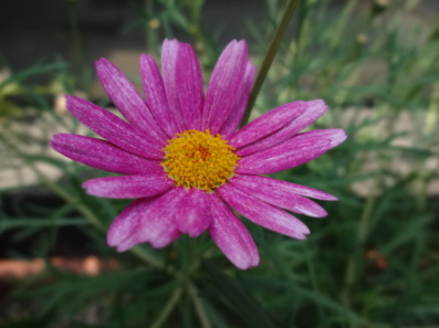 f0142733_20425149.jpg