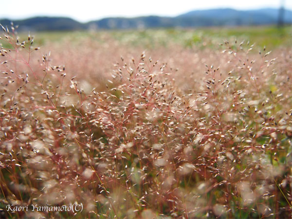 a0095337_2401455.jpg