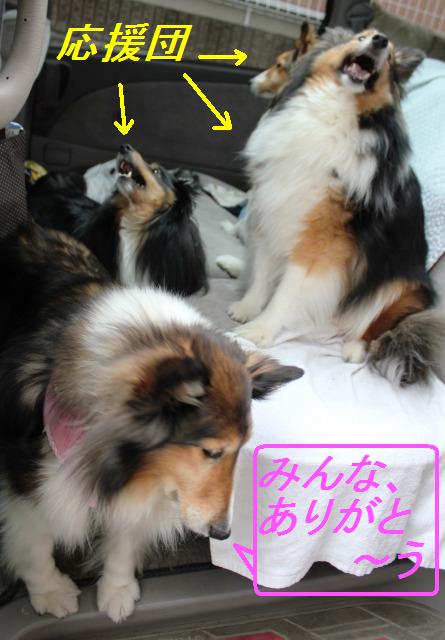 すいらんグリーンパークでダッシュ!_e0195743_1335637.jpg