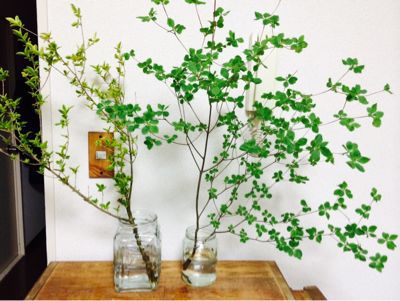 花瓶の代用 自分なりの暮らしと収納 花瓶の代用 自分なりの暮らしと収納