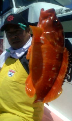 根魚五目_c0306546_1343978.jpg