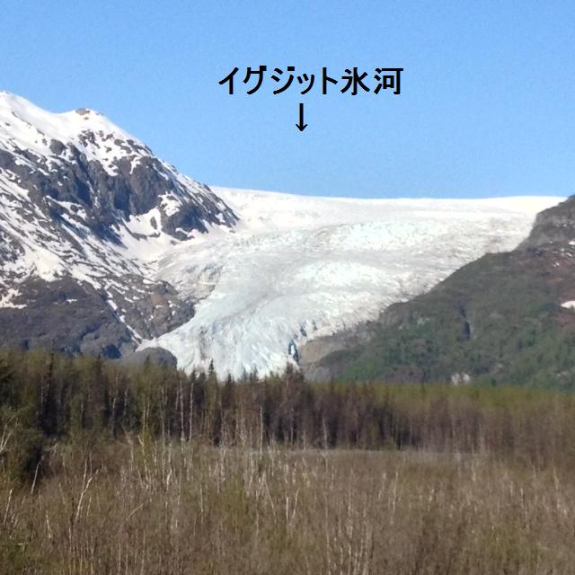 イグジット氷河マラソン大会_b0135948_1012281.jpg