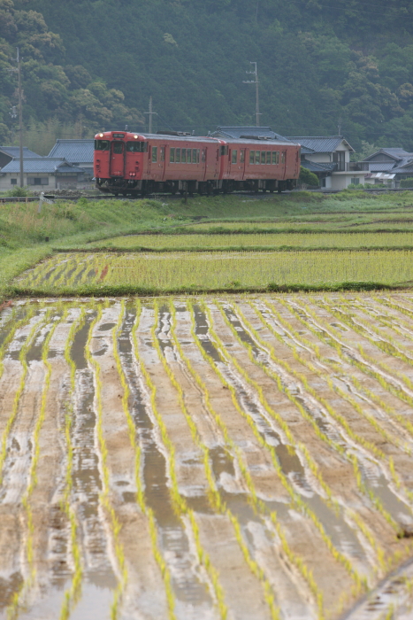 「晴れたと思えば・・・播但線」　５月２２日号_d0144549_22402952.jpg