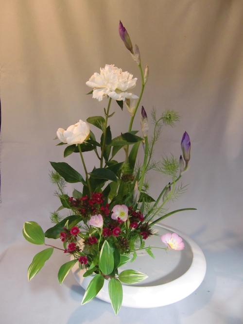 珍しい色の芍薬 活花生活 ２