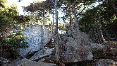 b0148050_1832547.jpg