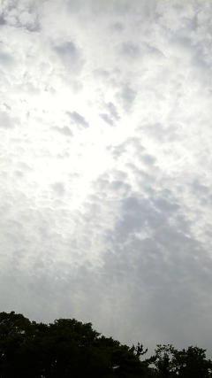 a0245055_1644069.jpg