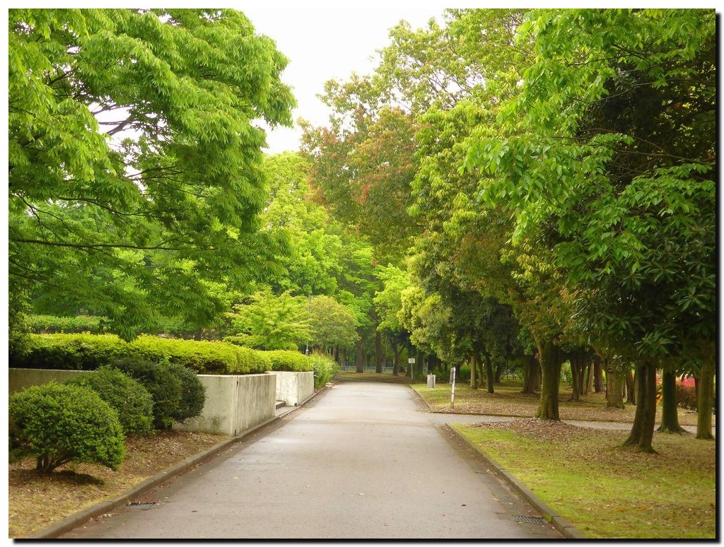 犀川緑地～大桑～辰巳用水遊歩道_c0311956_15173621.jpg