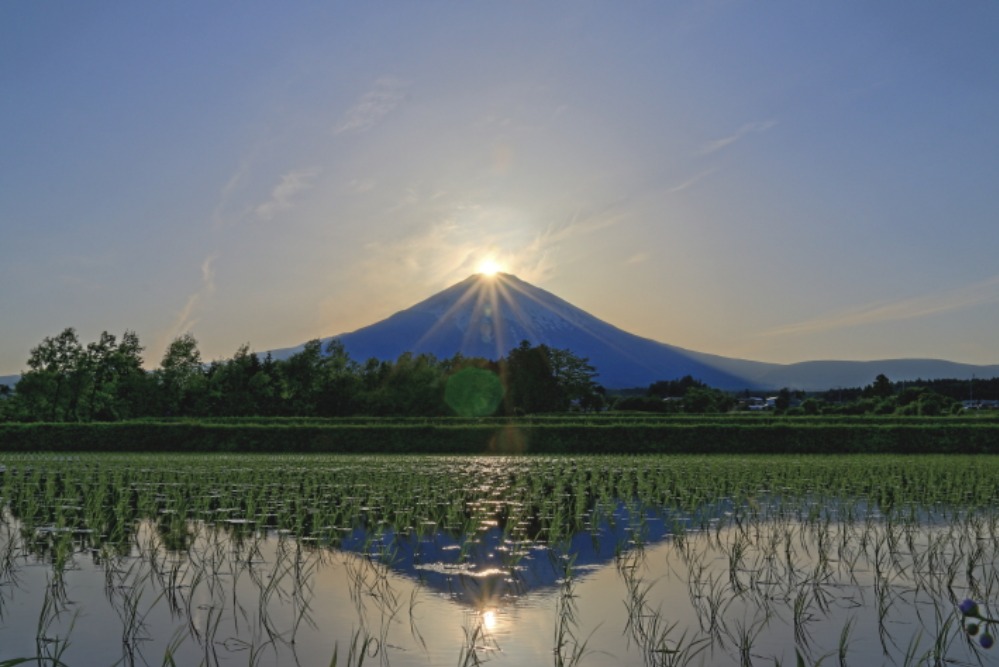 ダイヤモンド富士・茱萸沢_a0150260_0491370.jpg