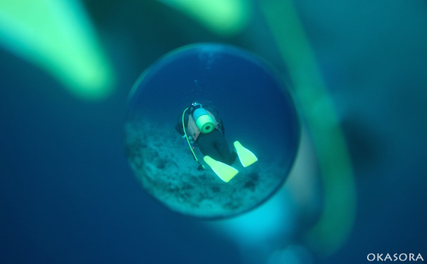 vs. Akamatsu Diver\'s☆柏島_e0158261_1949391.jpg