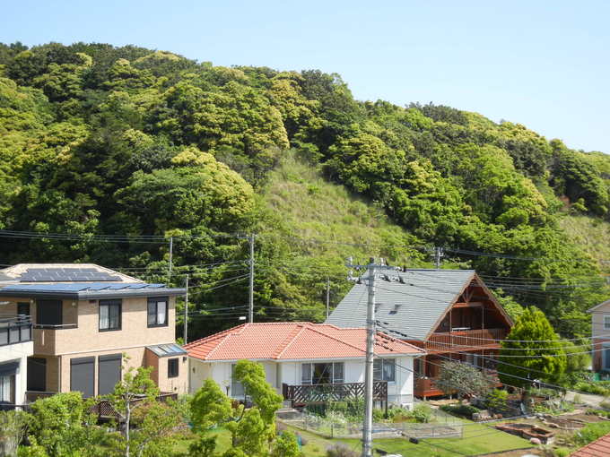 ’14,5,22(木)新緑がまぶしい~~~!_f0060461_9262431.jpg