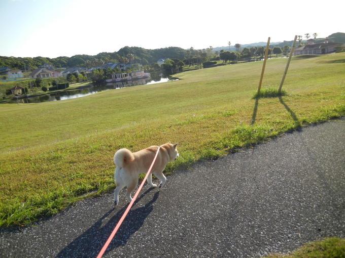 ’14,5,22(木)新緑がまぶしい~~~!_f0060461_9271392.jpg