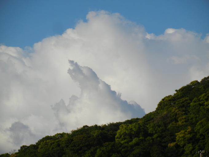’14,5,22(木)新緑がまぶしい~~~!_f0060461_9364361.jpg