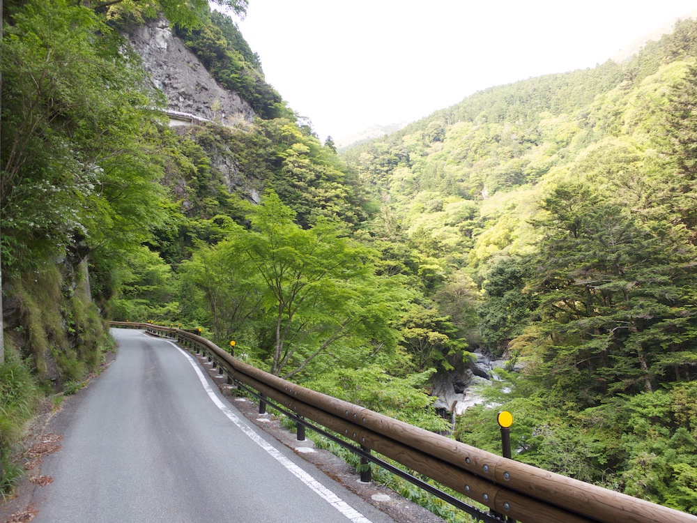 a0098864_22265613.jpg