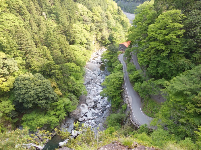 a0098864_23302999.jpg