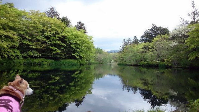 b0274270_10522793.jpg