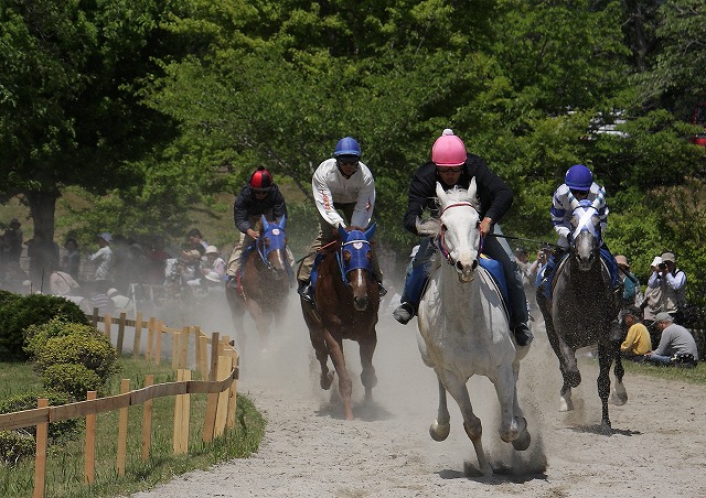 いなべ　草競馬　2_f0014971_2110514.jpg