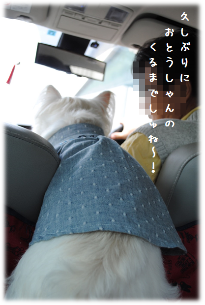 b0242873_00573314.png