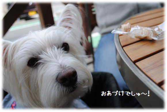 b0242873_01064238.png