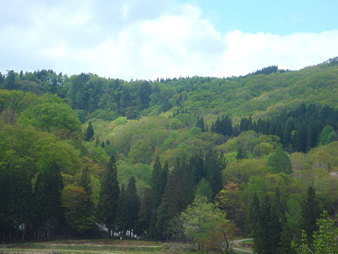 f0161874_19575115.png