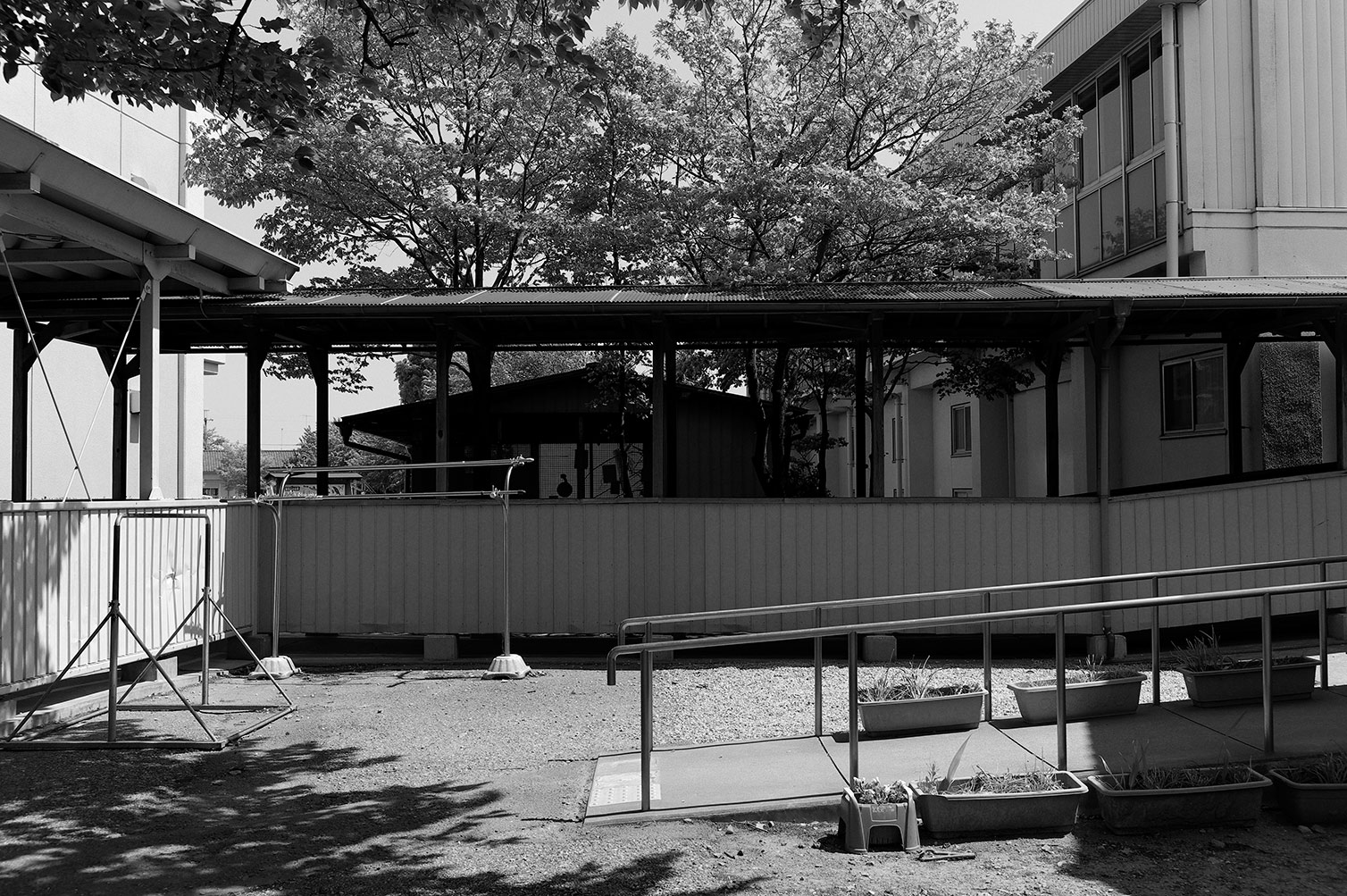 f0121181_326973.jpg