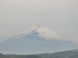 2014年5月22日 これがきくんだなあ_b0098584_711443.jpg