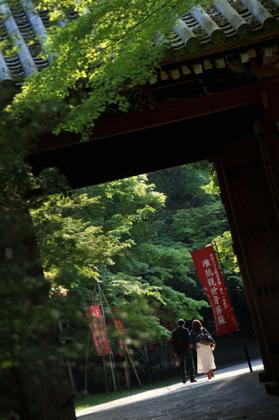 観光客が少なくなった時間帯....新緑の中....静かな時間が..._b0194185_22414122.jpg
