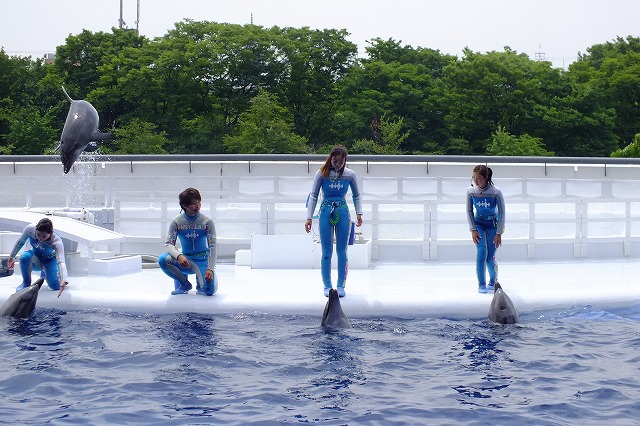 また行こう～水族館に_b0317485_16281651.jpg