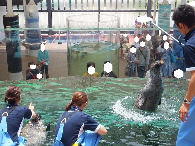 また行こう～水族館に_b0317485_16372264.jpg