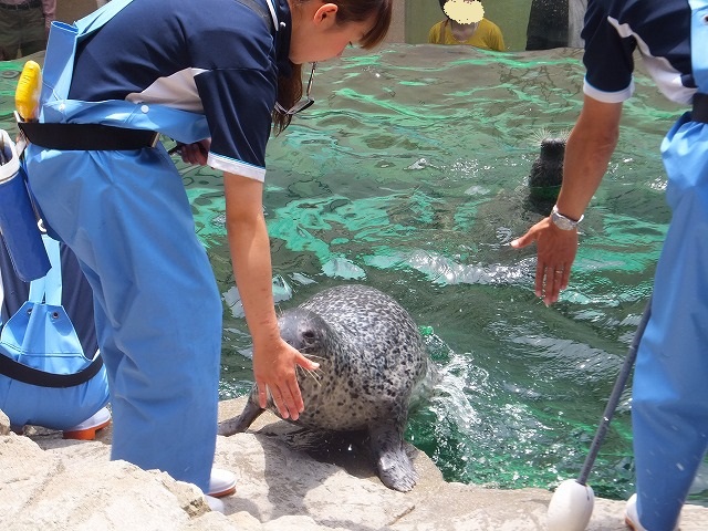 また行こう～水族館に_b0317485_16374304.jpg