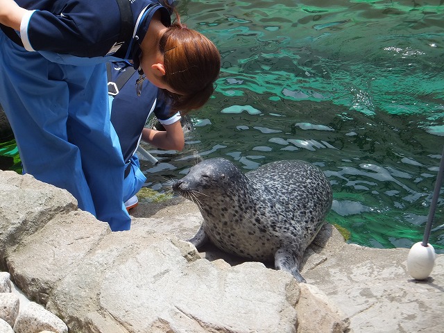 また行こう～水族館に_b0317485_16382887.jpg