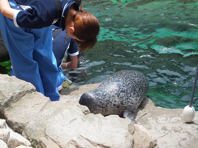 また行こう～水族館に_b0317485_16385194.jpg