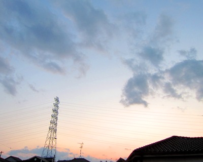コストコと 雨が降りませんように _d0249193_10293160.jpg
