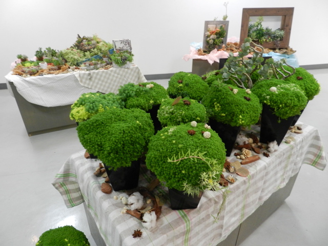 〜6/3 【北室】はなのうか すこし特別ガーデニング 【南室】アラフィアフェアトレードバスケット展_f0106896_22272183.jpg