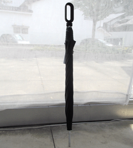 e0197500_1554393.gif