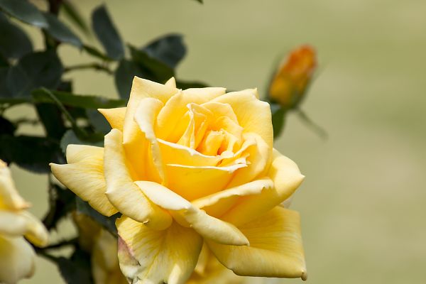 e0193503_2113015.jpg