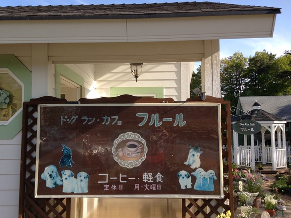 a0032004_15247.jpg