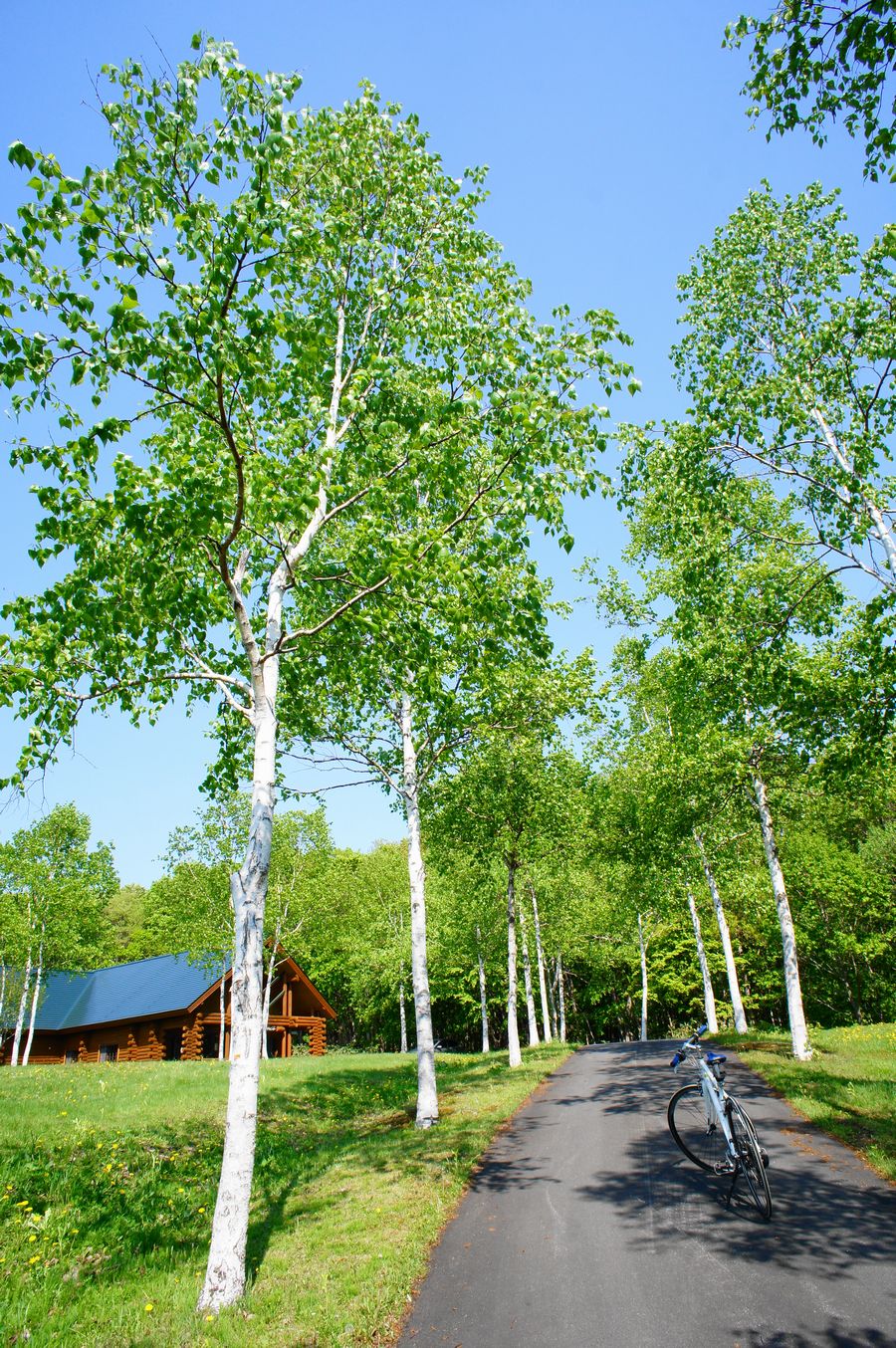 a0248508_1738475.jpg