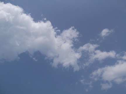 b0182709_8181796.jpg
