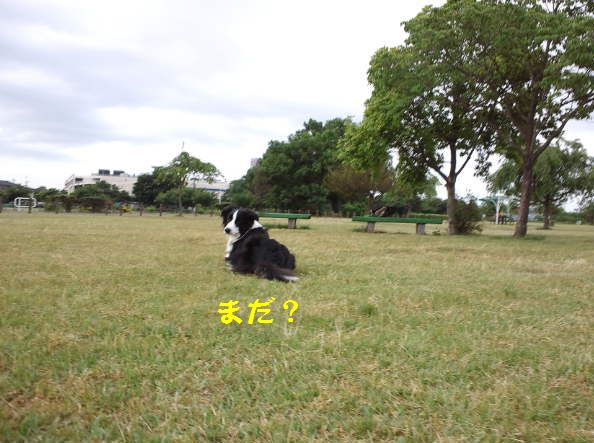 d0224111_09431986.jpg