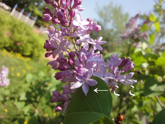 f0328313_13305038.jpg