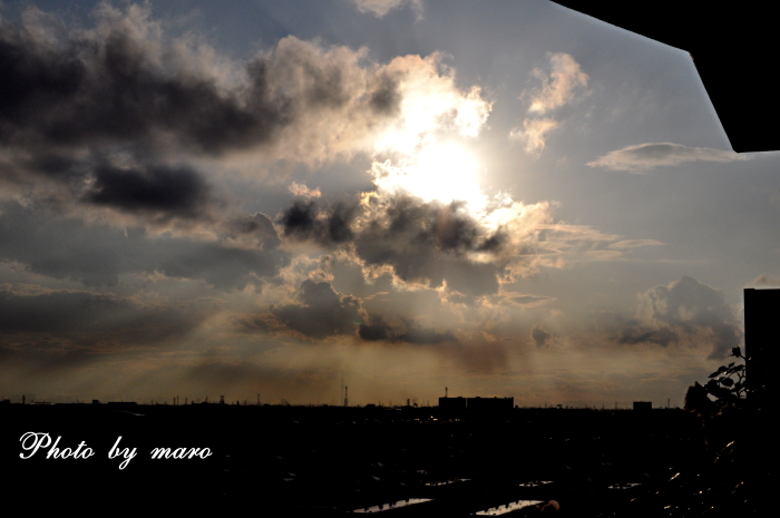 不安定な空 と 疑惑の薔薇 ローズポンパドゥール♪♪_e0160417_12163340.jpg